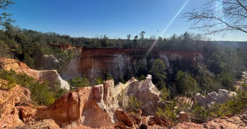 View of Providence Canyon State Park with red clay walls, trees, and a blue sky overhead.