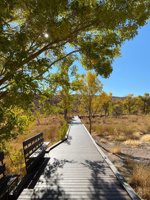 A wooden boardwalk leads through a sunny landscape with trees and benches, surrounded by golden grass.