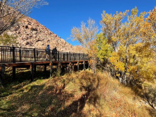 Two people walk on a wooden boardwalk surrounded by autumn trees and rocky hills under a clear blue sky.