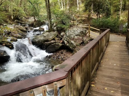 A wooden bridge over a flowing stream, surrounded by lush greenery and rocky terrain in a serene forest setting.