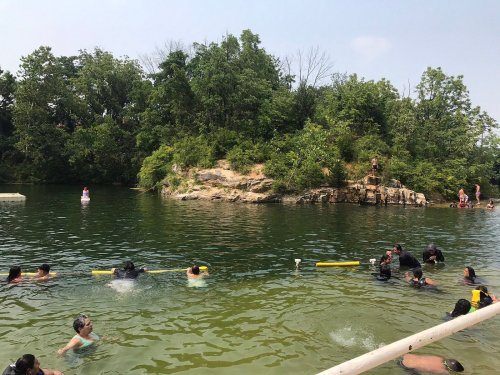 A group of people swimming in a greenish lake near a rocky island, surrounded by trees on a sunny day.