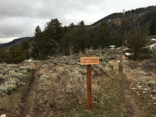 A wooden signpost at a trail junction, indicating directions for Moose Trail and Long Canyon Trail in a forested area.