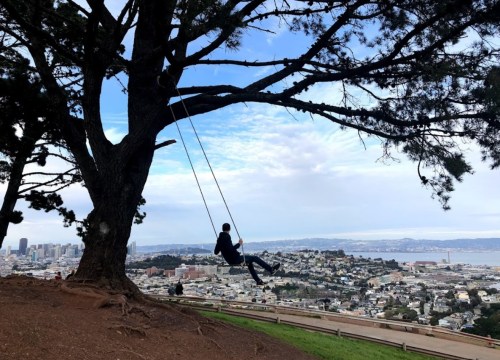 A person swings from a tree overlooking a cityscape with buildings and water in the background under a cloudy sky.