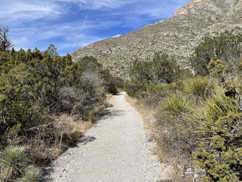 A gravel path winds through a desert landscape with shrubs and mountains under a blue sky.