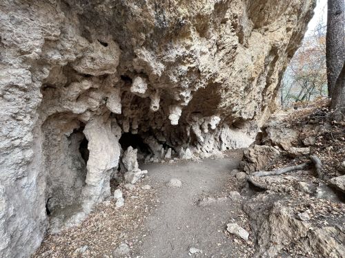 A rocky cave entrance with uneven walls and a dirt path leading inside, surrounded by dry leaves and trees.
