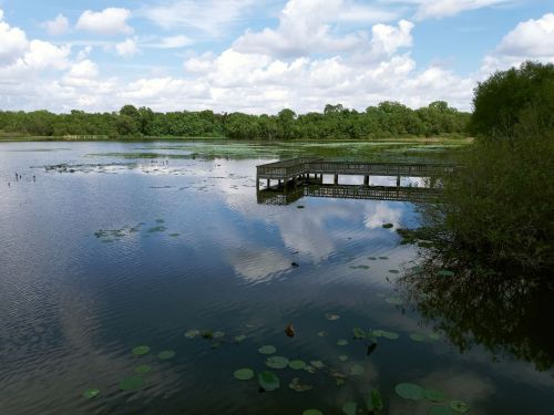 A serene lake with a wooden dock, surrounded by lush greenery and reflecting clouds in the water.