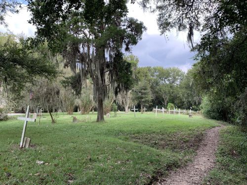 A serene graveyard with white crosses among trees and Spanish moss, bordered by a dirt path.
