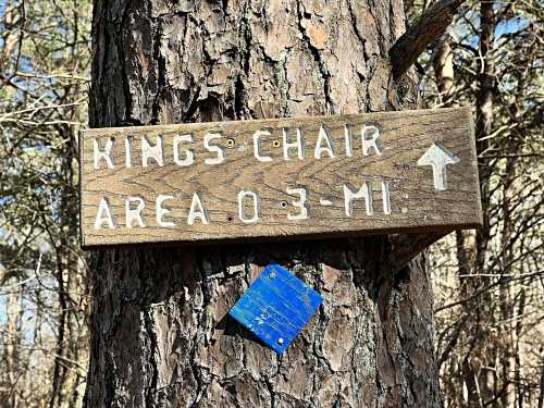 Wooden sign on a tree indicating "King's Chair Area 0.3 Mi" with an arrow pointing upward.