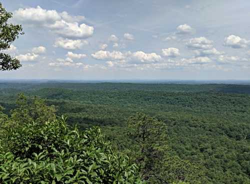 A panoramic view of lush green forests under a partly cloudy sky, stretching into the distance.