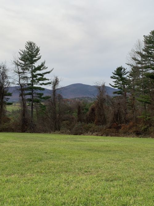 A grassy field with trees in the foreground and a mountain range in the background under a cloudy sky.
