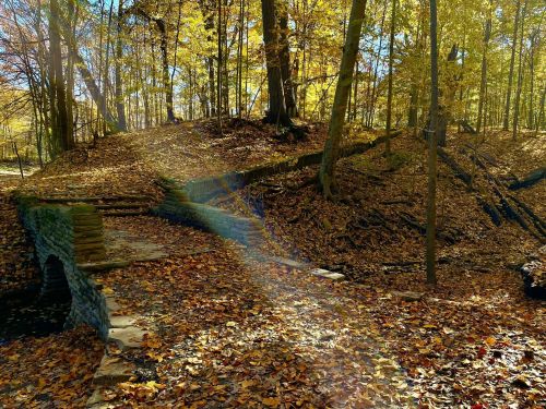 A stone bridge surrounded by autumn foliage and fallen leaves in a sunlit forest.