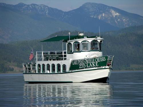 A white and green cruise boat on a calm lake, surrounded by mountains and trees under a clear blue sky.