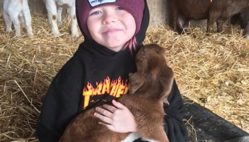 A smiling child in a beanie holds a brown goat in a barn surrounded by straw and other animals.