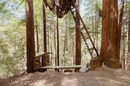 A wooden structure built among tall redwood trees, featuring a staircase leading up to a platform.