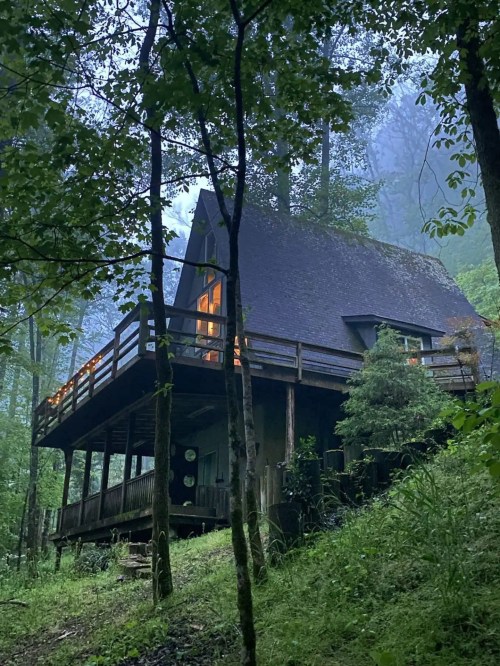 A cozy cabin with a sloped roof nestled among trees, illuminated softly in a misty forest setting.