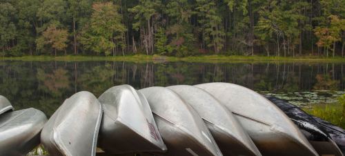A row of silver canoes lined up by a calm lake, surrounded by lush green trees and reflections in the water.