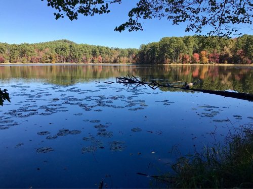 A serene lake surrounded by trees, reflecting a clear blue sky and autumn foliage.