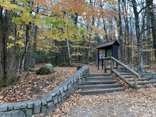 A stone staircase leads to a trailhead sign surrounded by autumn foliage and fallen leaves in a wooded area.