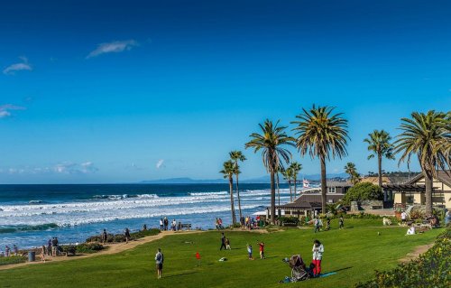 A sunny beach scene with palm trees, people enjoying the grass, and waves crashing in the background.