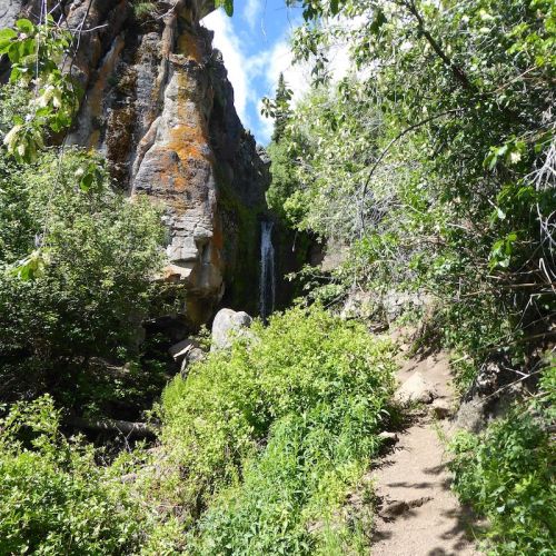 A lush green path leads to a small waterfall nestled among rocky cliffs and dense foliage.