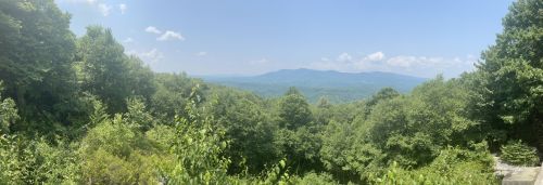 Panoramic view of lush green trees and distant mountains under a clear blue sky.