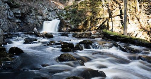 A serene river flows past rocks and fallen trees, with a waterfall cascading in the background, surrounded by forest.