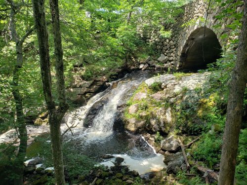 A serene waterfall flows under a stone bridge, surrounded by lush green trees and rocky terrain.