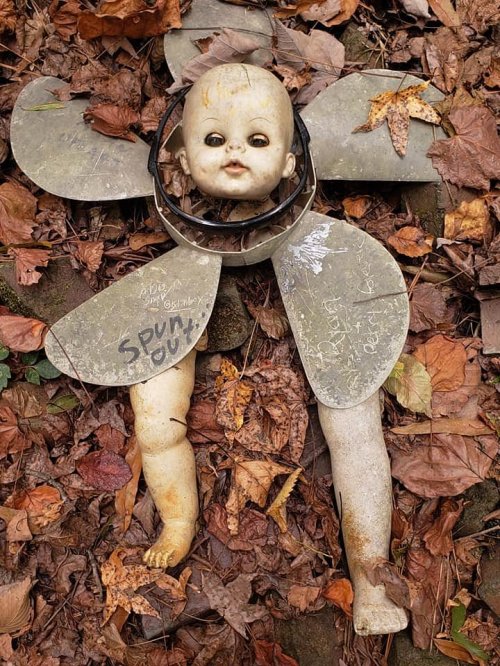 A broken doll with a flower-like design, lying among autumn leaves, featuring a head and limbs but missing a body.