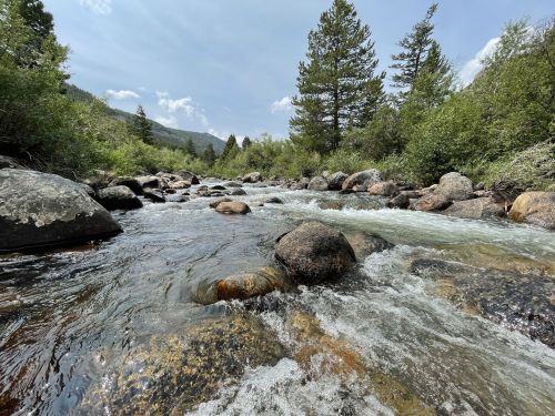 A flowing river surrounded by rocks and lush greenery, with trees and mountains in the background under a cloudy sky.