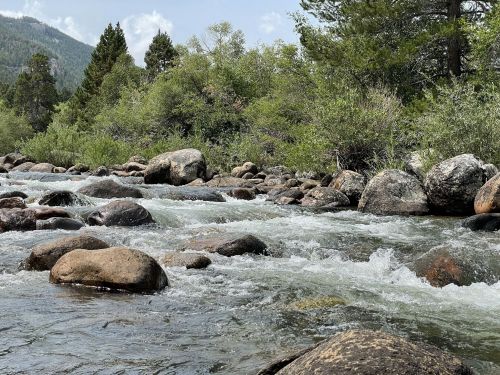 A flowing river with smooth rocks and lush greenery, set against a backdrop of mountains and a cloudy sky.