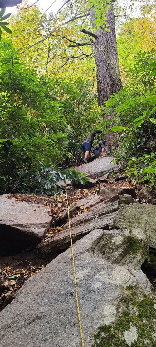 A person climbs rocky terrain surrounded by greenery, with a rope secured to a tree for support.
