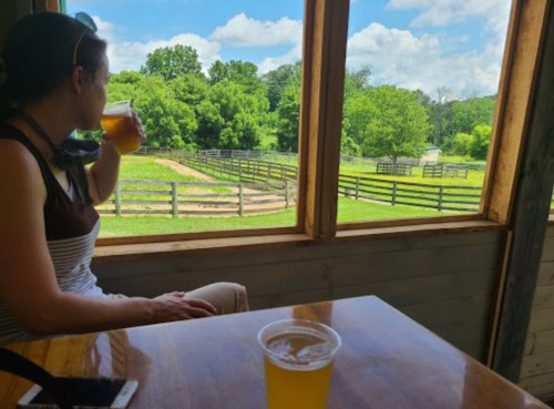 A person enjoys a drink while gazing out a window at a lush green landscape with a wooden fence.