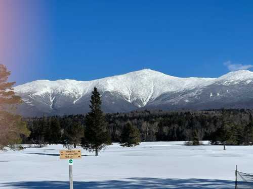 Snow-covered mountains under a clear blue sky, with a foreground of trees and a sign in a snowy landscape.