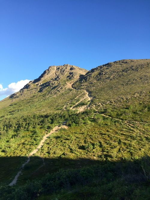 A winding trail leads up a grassy mountain under a clear blue sky.