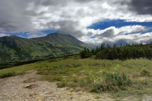 A scenic landscape featuring mountains under a cloudy sky, with green hills and patches of wildflowers in the foreground.