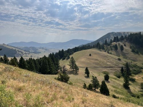 A scenic view of rolling hills and mountains, dotted with trees under a cloudy sky.