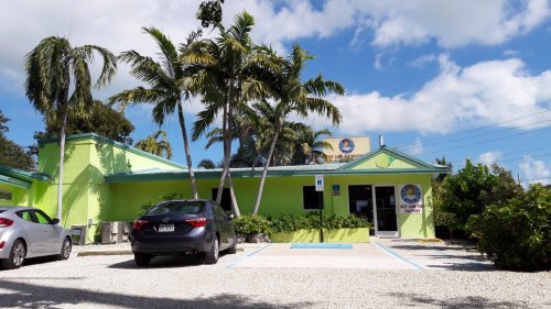 A bright green building surrounded by palm trees, with parked cars in a gravel lot under a blue sky.