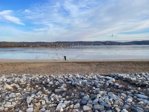 A person in green stands by a lake, surrounded by rocks, with birds flying over the water under a blue sky.