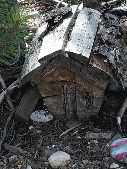 A small, rustic wooden structure partially covered in leaves and surrounded by rocks and twigs in a forested area.