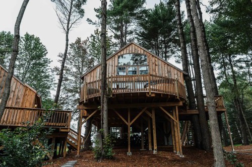 A wooden treehouse surrounded by tall trees, featuring a balcony and large windows, set in a natural forested area.