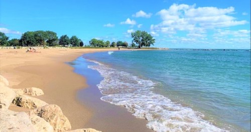A serene beach scene with gentle waves, sandy shore, and trees under a bright blue sky with fluffy clouds.