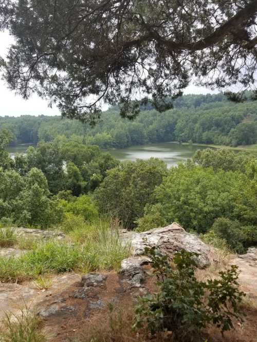 A serene view of a lush green landscape with a lake, framed by trees and rocky terrain in the foreground.