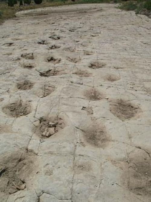 Dry, cracked ground with multiple circular depressions, suggesting erosion or ancient footprints in a barren landscape.