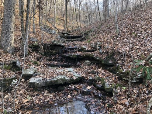 A rocky stream flows through a forested area, surrounded by autumn leaves and trees.