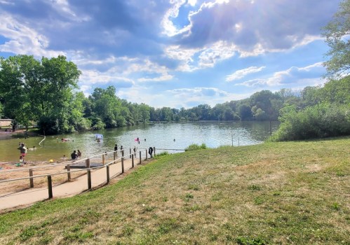 A serene lake surrounded by trees, with people enjoying the water and a grassy area in the foreground under a blue sky.