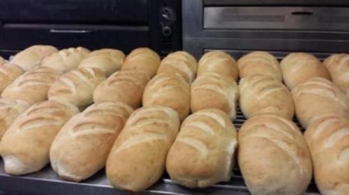 Freshly baked bread rolls arranged neatly on a cooling rack in a bakery.