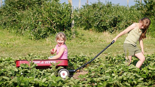 Two young girls in a field: one pulls a red wagon with a smiling girl inside, surrounded by green plants.