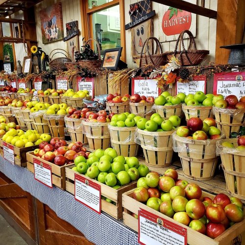 A vibrant display of various apple varieties in wooden baskets at a market, decorated with autumn leaves.
