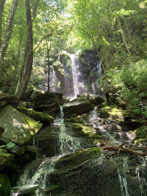 A serene waterfall cascading down moss-covered rocks, surrounded by lush green trees and sunlight filtering through the leaves.