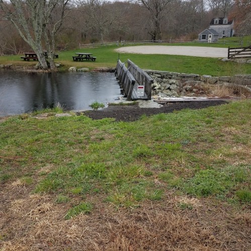 A serene landscape featuring a pond, grassy area, and a small bridge, with trees and a building in the background.